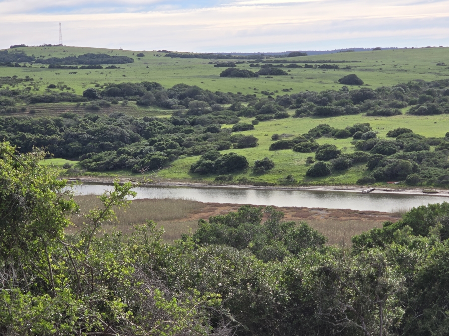 0 Bedroom Property for Sale in Bathurst Rural Eastern Cape